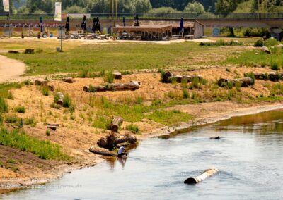 Renaturierung der Ems mit Stückenschneider