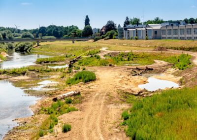 Renaturierung der Ems mit Stückenschneider
