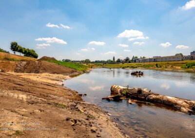 Renaturierung der Ems mit Stückenschneider